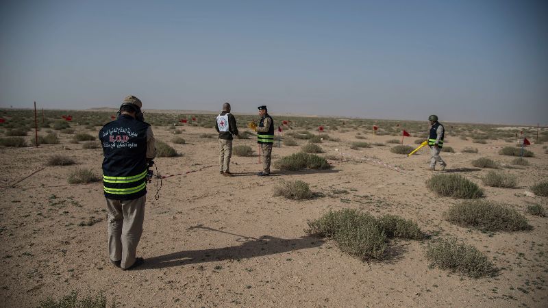 field officer, an explosive ordnance disposal expert and an unexploded ordnance disposal team are working in an area containing cluster bombs